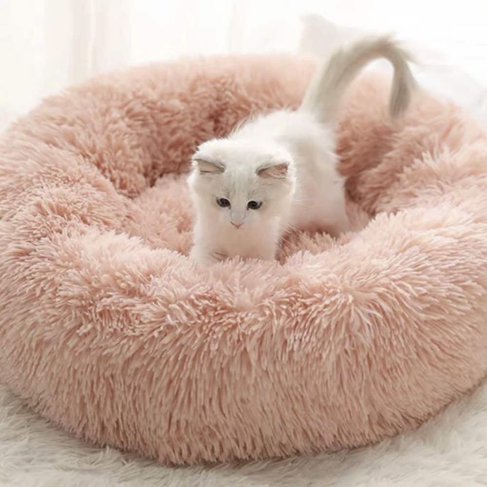 Pet's Cushion Bed - Picture 13 of 13